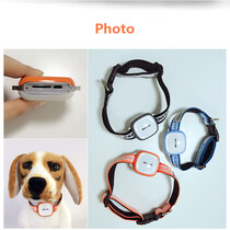 GX11 Pet GPS Collar Mini Size GPS Tracker Tracking Device