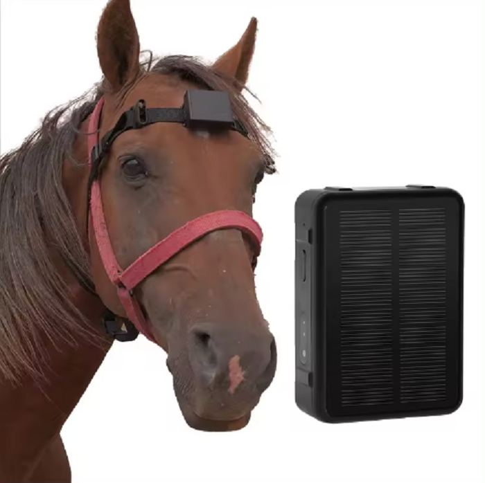 RF-V24 Solar 4G Bull GPS Collar Tracker Bull Horse and Sheep Loss Prevention 4000mA 40 Day Working Time