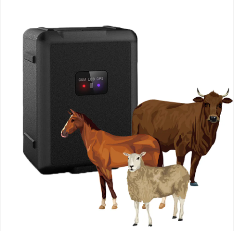 RF-V55 4G real-time wireless GPS tracker waterproof IP67 geofencing collar cutting alarm cattle and horse tracking device